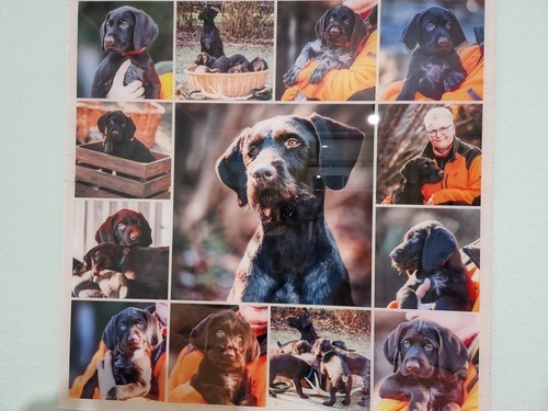 Photo du client Kathrin pour l'évaluation Impression Photocollage Acrylique 80x80cm