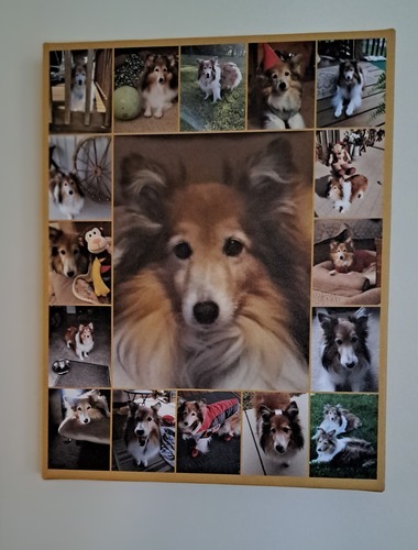 Kundenfoto von Regina für Bewertung Druck Fotocollage Leinwand 11x14"